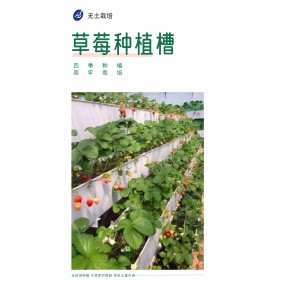 草莓采摘高架种植PVC材质立体种植槽温室大棚美观耐用
