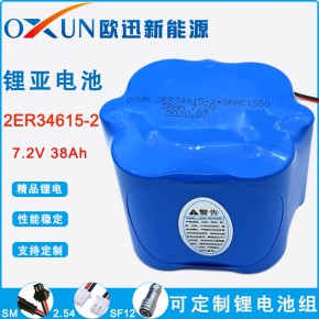 OXUN/欧迅品牌电池 ER34615锂亚电池组 一次性锂电池