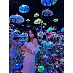 灯光展古建筑亮化灯会彩灯制作厂家城市灯光秀