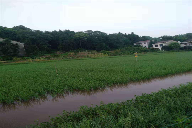 越秀土壤检测 深圳土壤送检流程