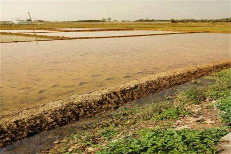 潮安种植土壤检测哪些指标 汕头种植土检测