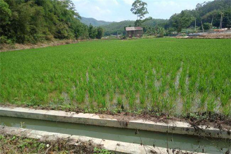 大埔哪里做土壤检测 汕尾哪做土壤检测