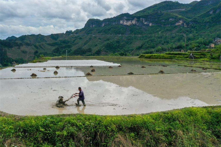 曲江土壤检测报告 阳江种植土检测