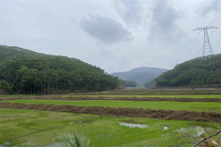 江城土壤农药检测 湛江土壤送检流程