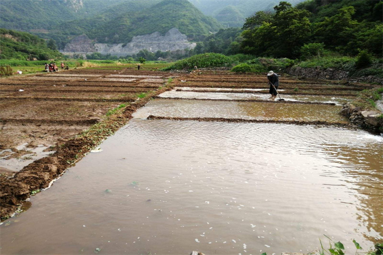 顺德土壤检测水质检测 肇庆土壤送检流程