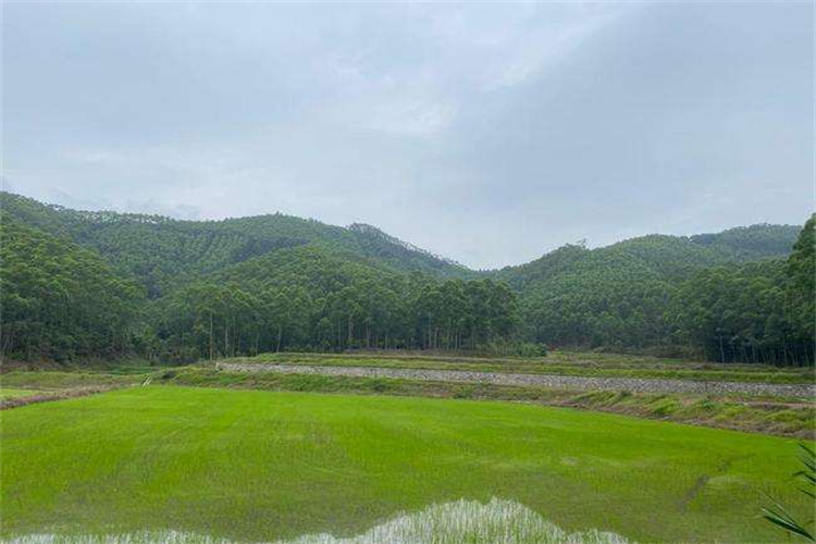 越秀土壤检测 深圳土壤送检流程