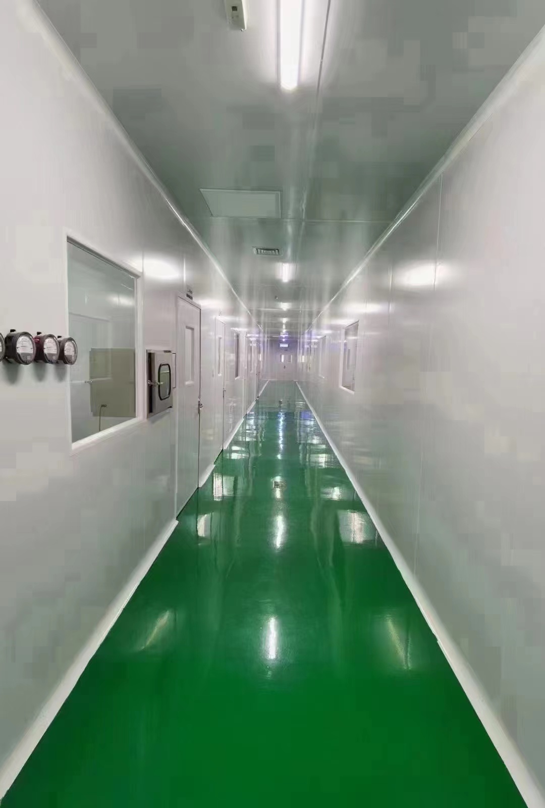 3934366353.jpg