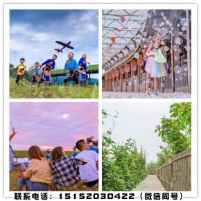 景区设计景区规划景区运营公司