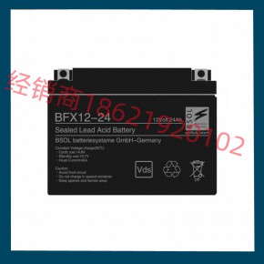 BSOL蓄电池12V220AH光伏储能行业云贵川经销商