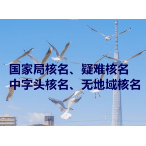 無區(qū)域公司如何辦理注冊