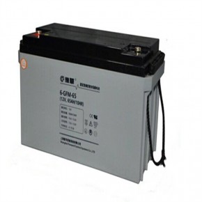 复华FORWARD蓄电池6-GFM-55 12V55AH UPS/EPS直流屏电源