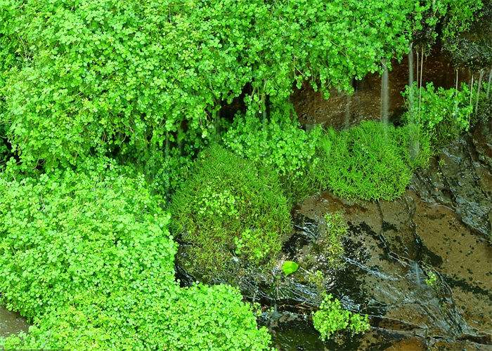 潮阳检测饮用水多少钱 饮用水检测需要多少钱