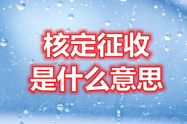 广州个体户核定征收已更新(*新/要点)