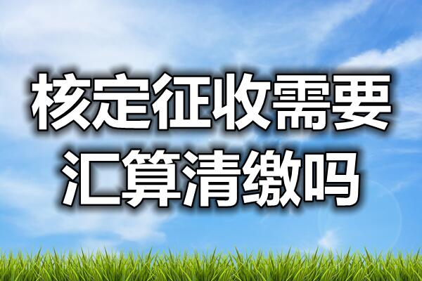 个体户定期定额征收如何报税已更新(今晨/阐释)