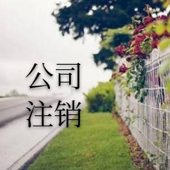 北京市西城公司注销的流程及需提供的材料2023-详情