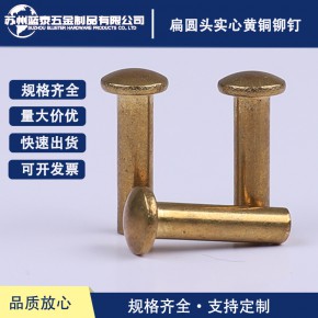 厂家供货 GB869扁头铜铆钉锁芯铆钉电路板铆钉扁圆头实心黄铜铆钉