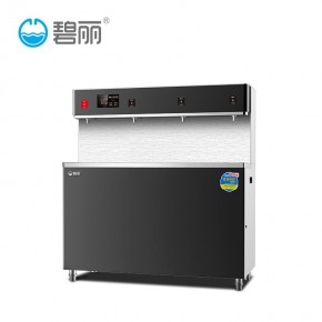 商用直饮水机 碧丽饮水机 益阳直饮水机