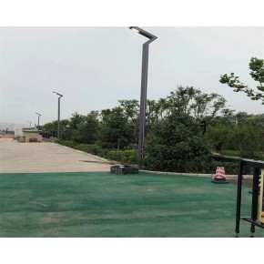 双头市电路灯 太原双头市电路灯 山西中汾亚明公司 