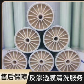 凯璇 反渗透膜清洗服务物理化学清洗 在线离线清洗 全国各地可上门服务