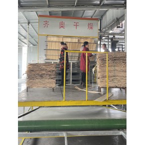 木片单板烘干机 铜仁单板烘干机 齐奥干燥设备 