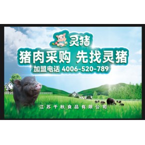 靈豬進(jìn)口豬肉 唐山靈豬 江蘇千秋食品