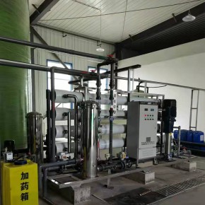 工業(yè)純水成套設備定制 反滲透水處理設備 精致耐用