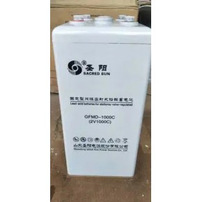 圣阳GFM100C不间断电源