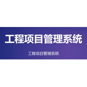 工程项目管理开发模板