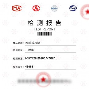 西甜瓜-三唑酮测试-食品及农产品检测报告-百检网