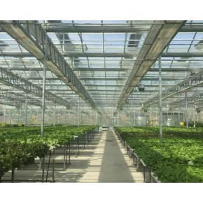 蔬菜种植大棚 山西中慧大农科技 蔬菜种植大棚一亩造价