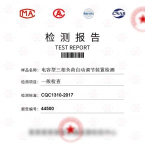 电容型三相负荷自动调节装置-一般检查测试-百检网