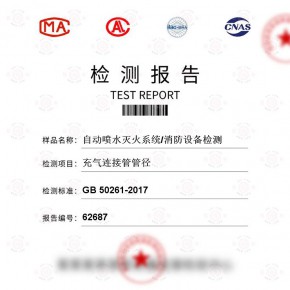 自动喷水灭火系统/消防设备-充气连接管径试验