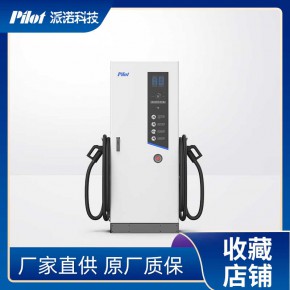 大功率直流桩 快充建站带运营平台 可出口充电桩 珠海派诺科技厂家直售