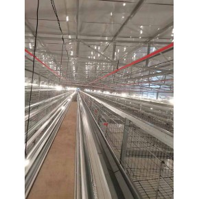 鸡场养殖设备制作公司 四川省众诚振兴牧业 清远鸡场养殖设备