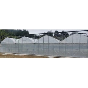 湖北恩施主副拱连栋温室大棚