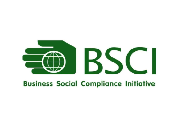 bsci等级分类