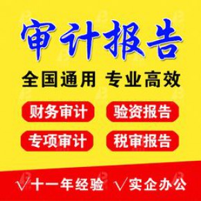 出具-六安财务审计报告-六安年度审计