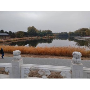 公司违法执照被吊销还需要处理吗是不是就等同于注销