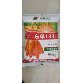 东单1331优良玉米大品种