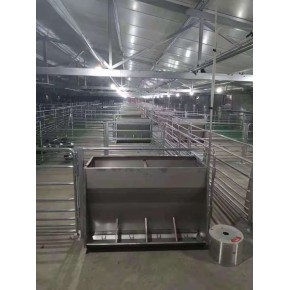 保育育肥用自动喂料槽自动采食槽