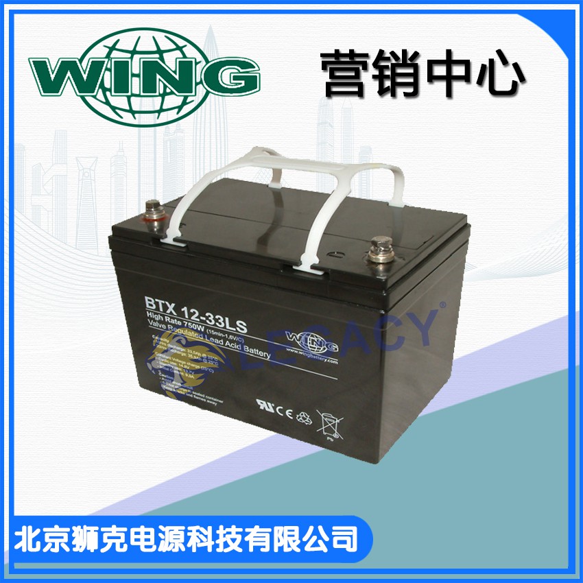 WING-BTX-12-33LS.jpg