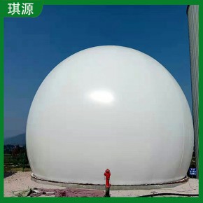 琪源 沼气双膜储气柜 球形双膜贮气设备