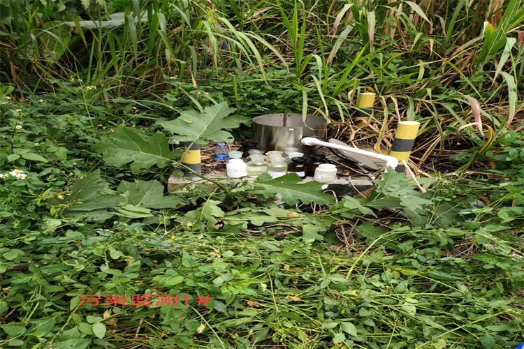 水源地水质检测 汕尾水质微生物检测机构