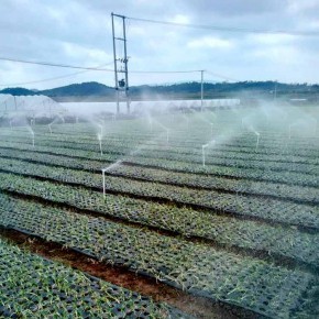智能节水灌溉设备 昆明湖盛农业 瑞丽智能节水灌溉