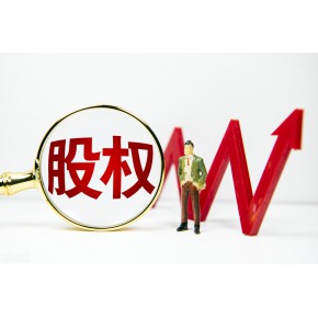 投资标的收益与偿债能力及资金实施细则综合数据分析论证