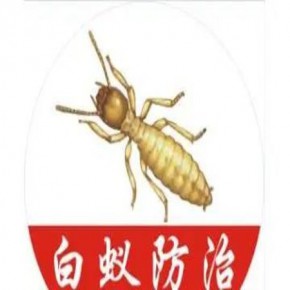 修水白蚁防治中心，一家专业的灭白蚁机构，白蚁防治公司