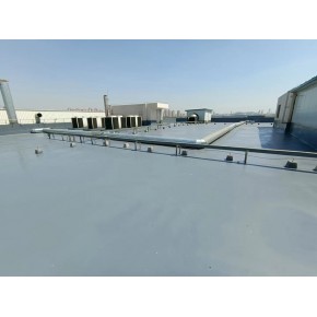 屋面喷涂聚脲 宁波屋面喷涂聚脲 德珂仕新材料 