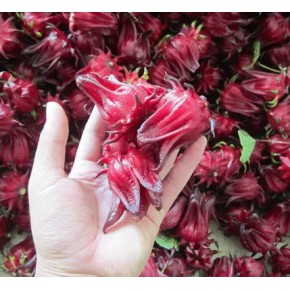 进口玫瑰茄清关代理