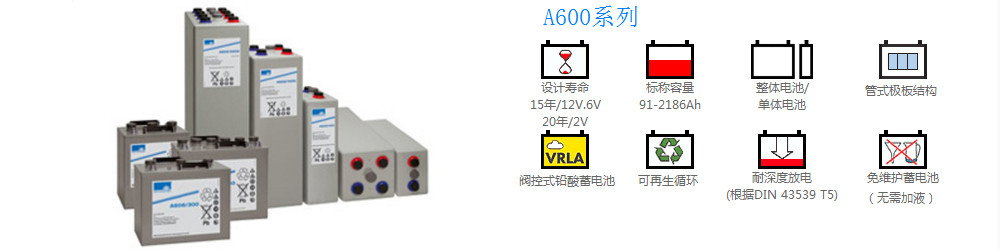 埃克塞德Sonnenschein蓄电池A706/210美国原装进口