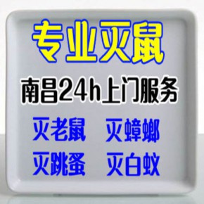 南昌洁鹏灭鼠公司，专注家庭灭鼠有售后服务